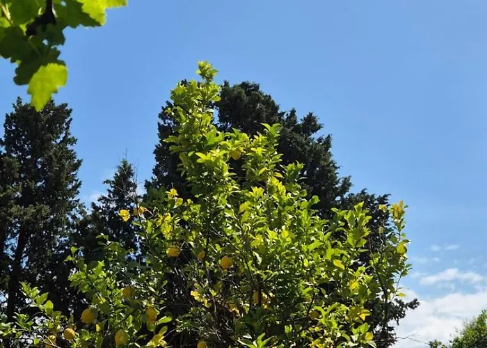 Belvedere Santa Lucia *