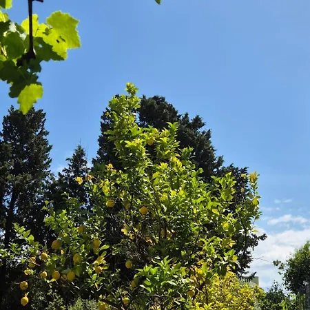 Belvedere Santa Lucia *