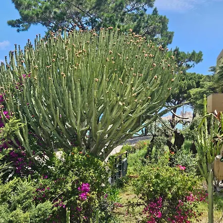 Belvedere Santa Lucia Appartement