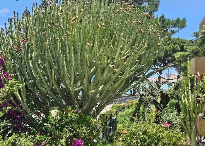 Belvedere Santa Lucia شقة